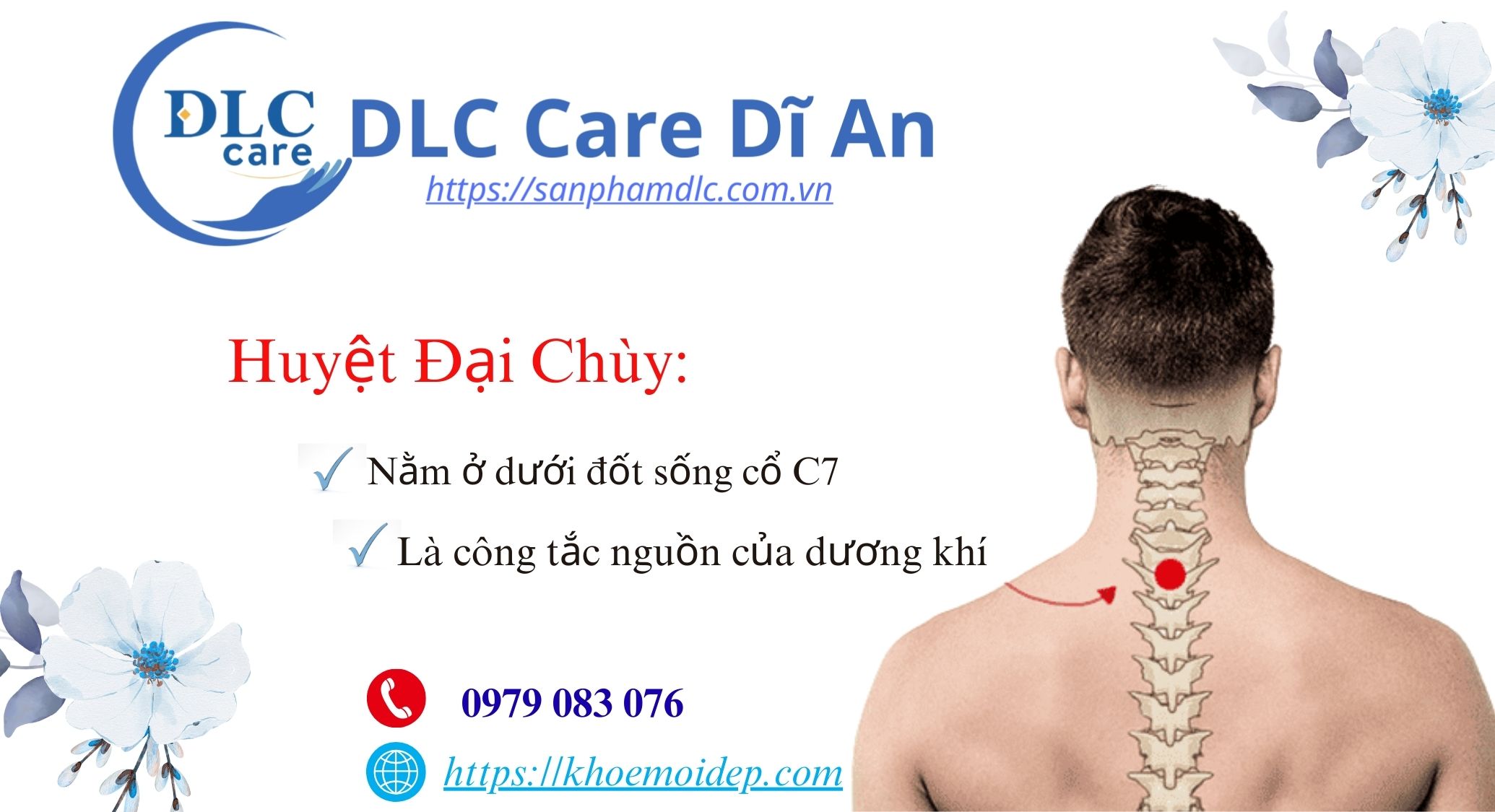 Vỗ Huyệt Đại Chuỳ 3 Cái - Ý Nghĩa & Công Dụng 12 DLC Care Di An huyet dai chuy