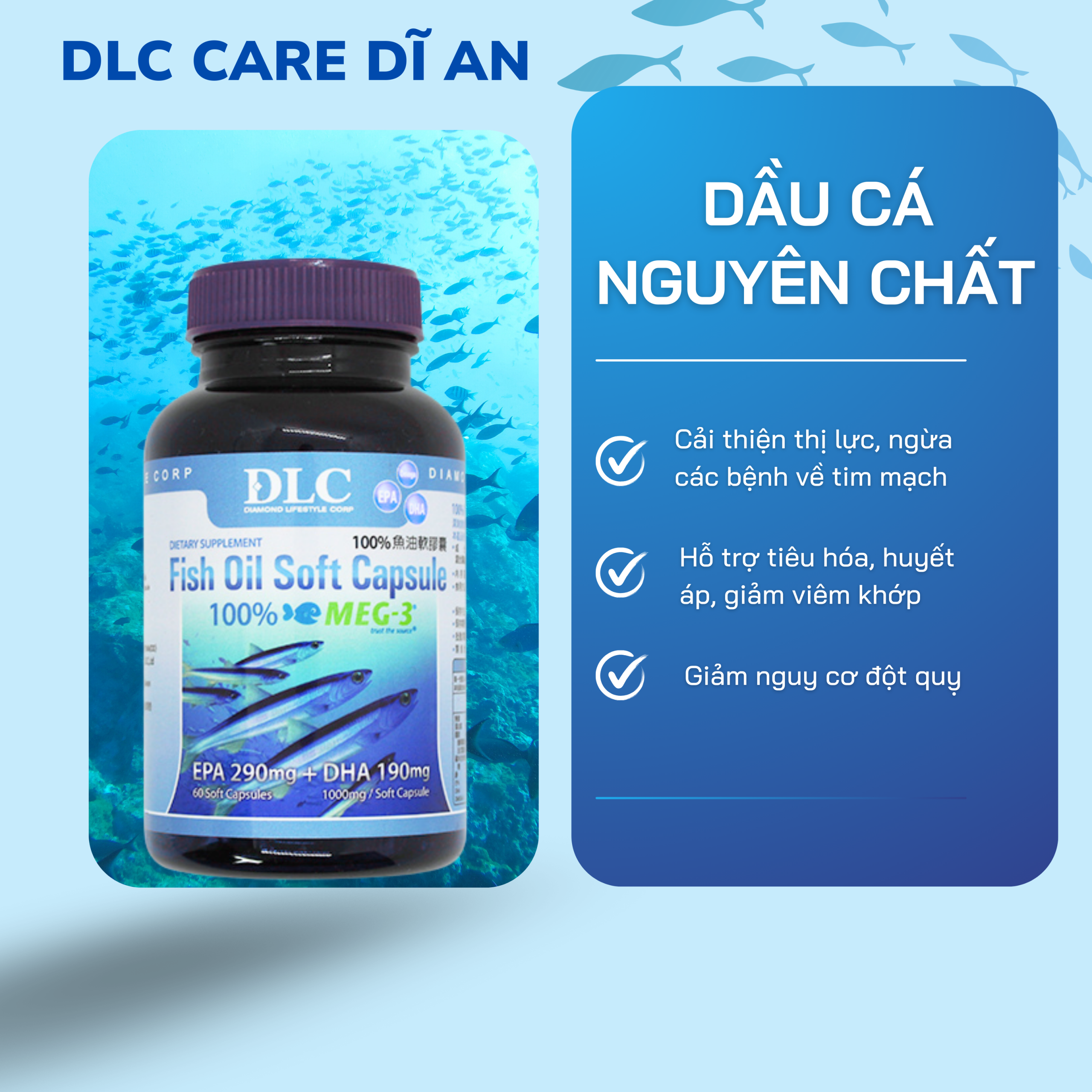 dau ca scaled
