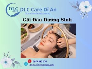Gội Đầu Dưỡng Sinh