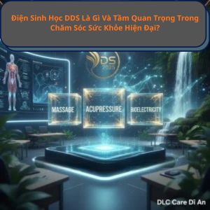 Khóa Học Chuyên Sâu DDS 2025